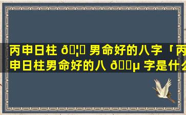 丙申日柱 🦄 男命好的八字「丙申日柱男命好的八 🐵 字是什么」